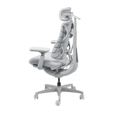 LiberNovo Omni 45 cm Ergonomic Chair (Gray)
